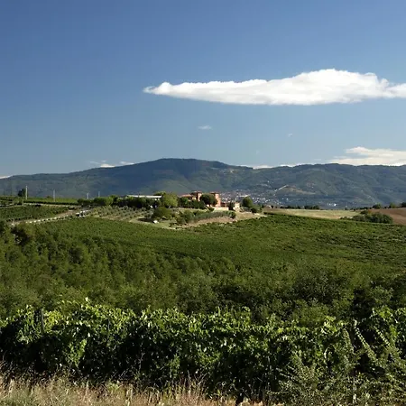 Terra Rossa * Valiano