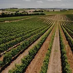 Terra Rossa Valiano