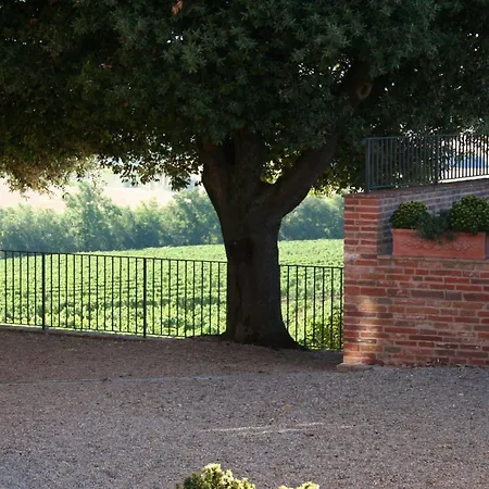 Terra Rossa Valiano