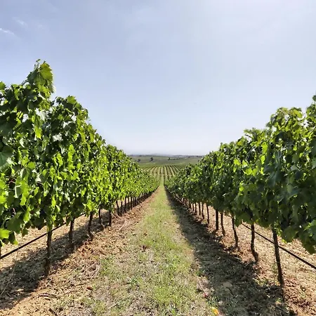 Terra Rossa Farm stay